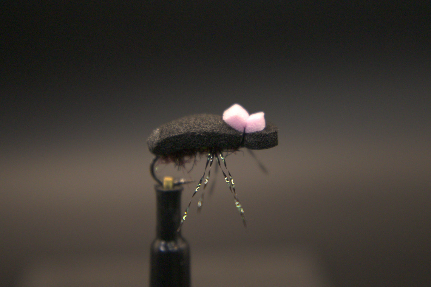 Foam Beetle