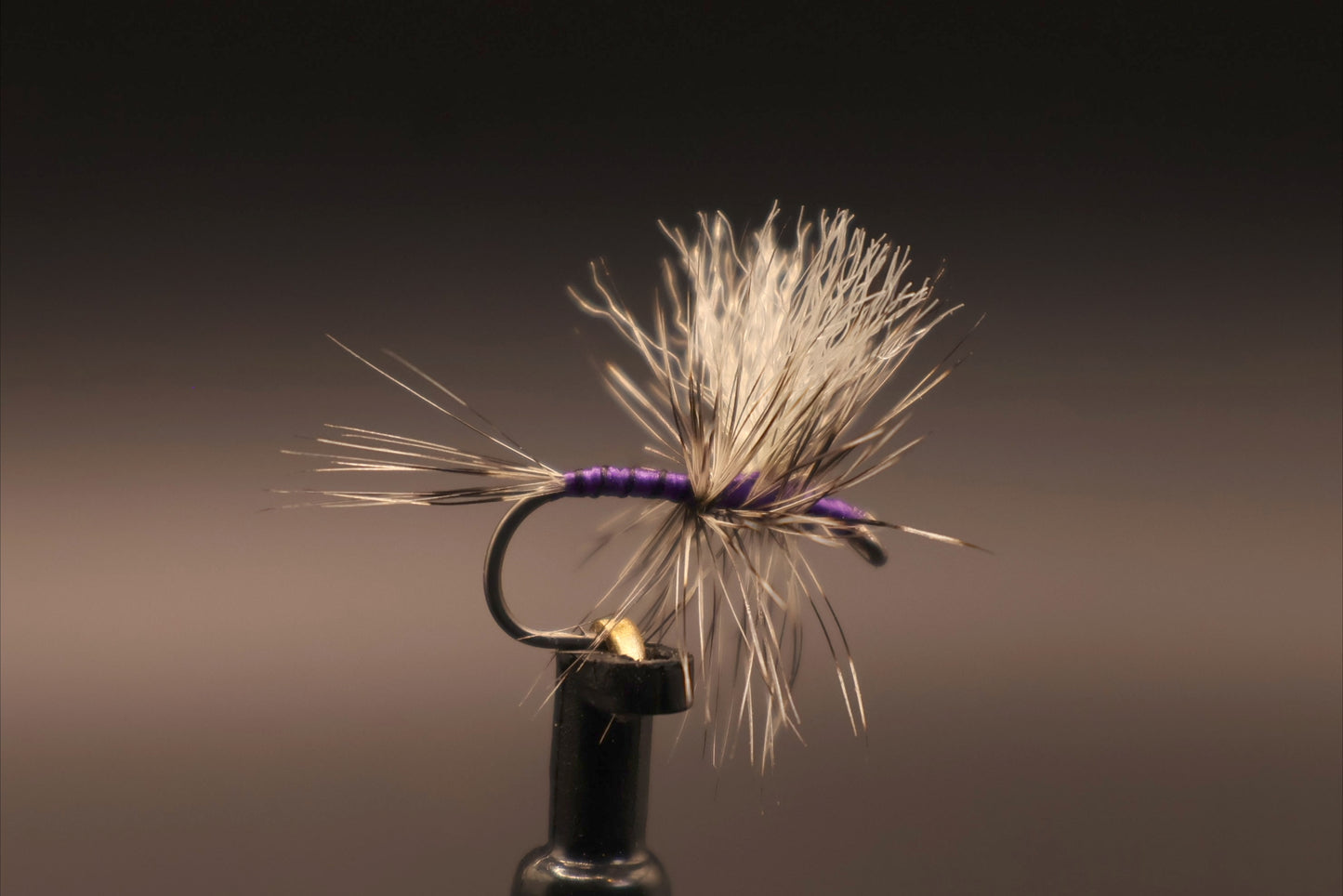 Purple Haze Mayfly
